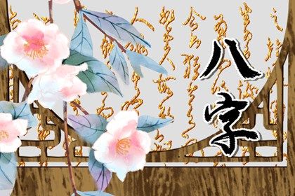 命宫、身宫与胎元