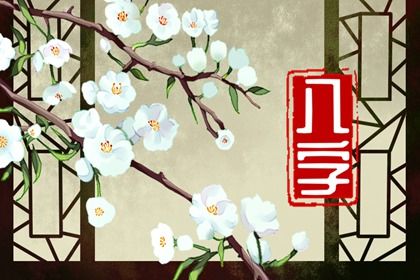 卦象与纳甲的桥梁