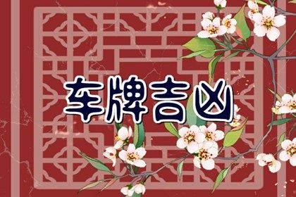 车牌数字提取法