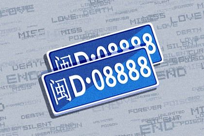 车牌字母参与吗