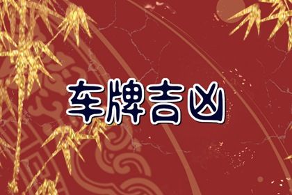 结果页与本命年无关