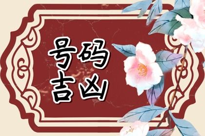 数理分如何理解