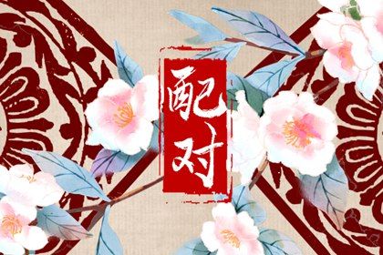 紫微主星查询 测紫薇命盘 元亨紫薇命盘排盘 命命盘