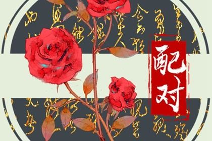 配偶宫被冲必离婚吗