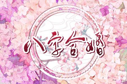 八字翻译器|八字确定卦象|杨颖八字分析|八卦批八字|八字星尘算命