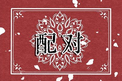 合财八字,问道八字,字算命占卜