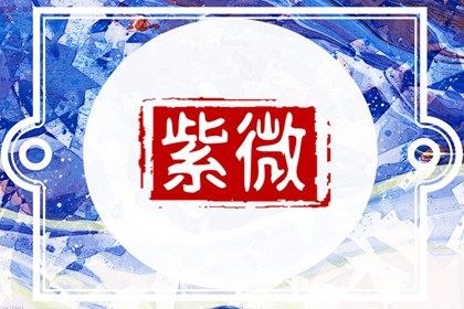 工具能做长期陪伴吗