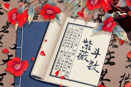 结果里的宜忌怎么看